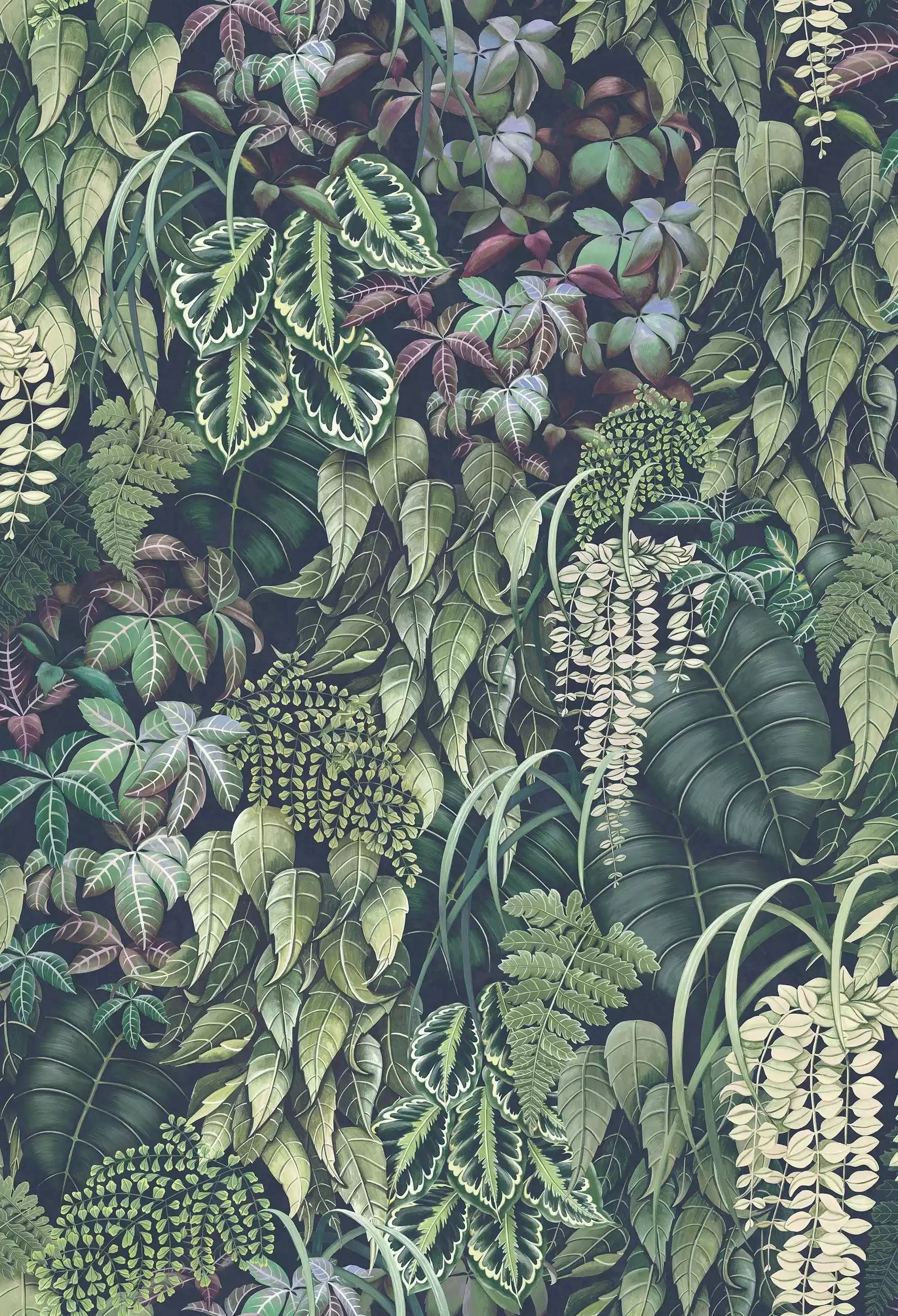 Green Wall (Folium)