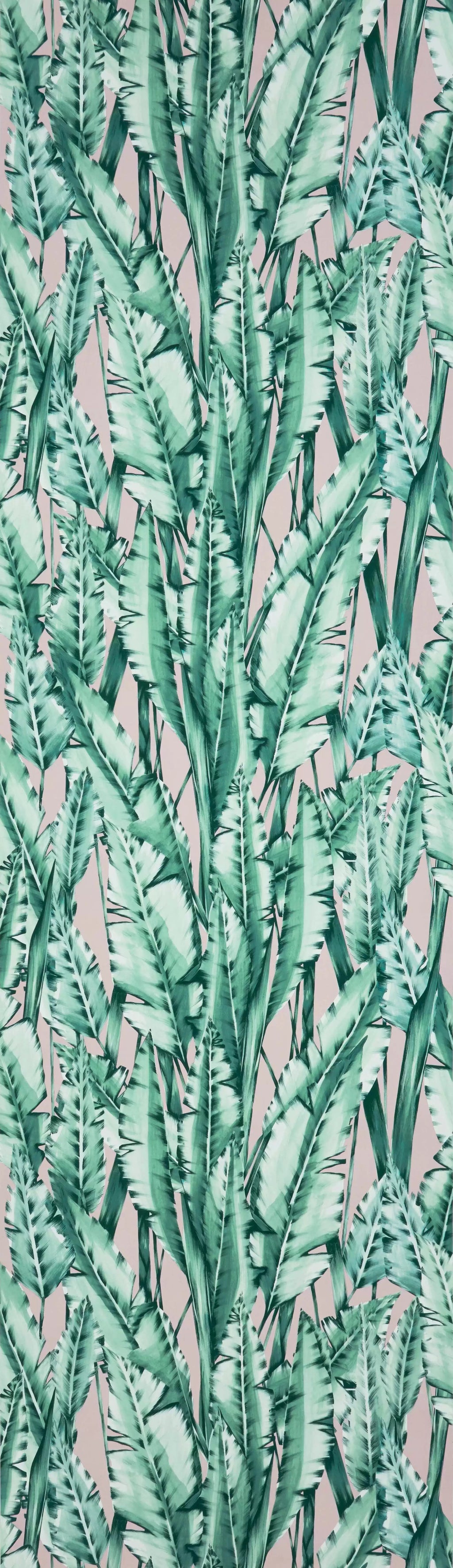 Tiger Leaf (Folium)
