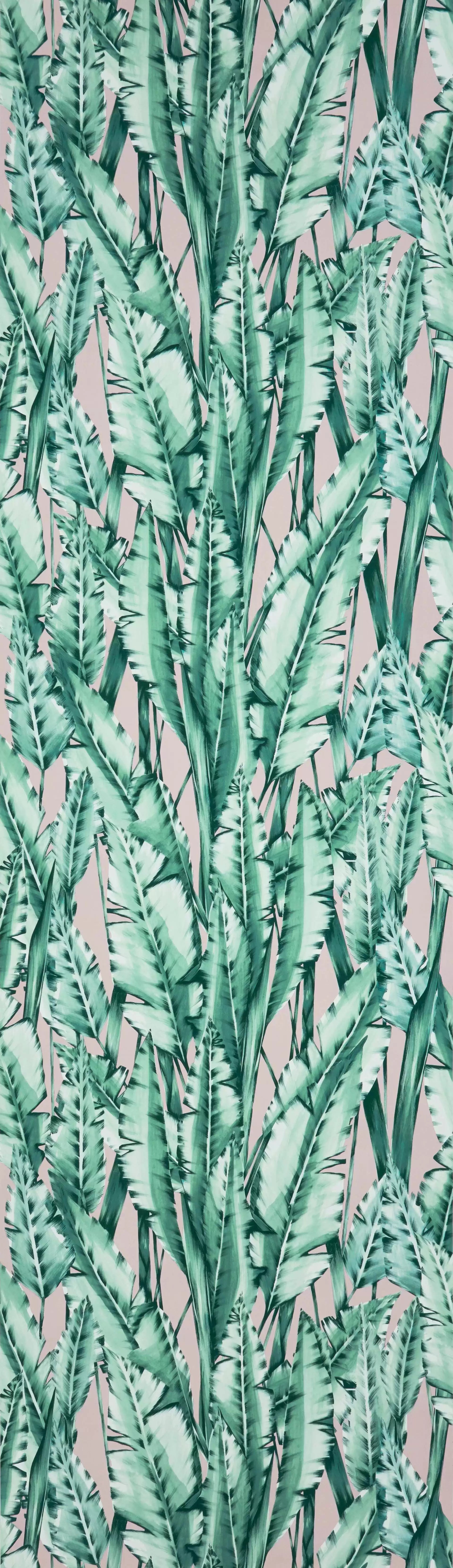 Tiger Leaf (Folium)