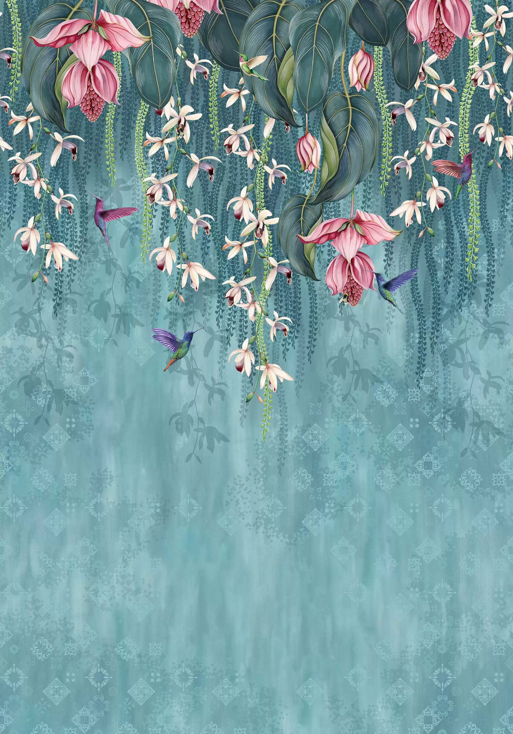 Trailing Orchid (Folium)