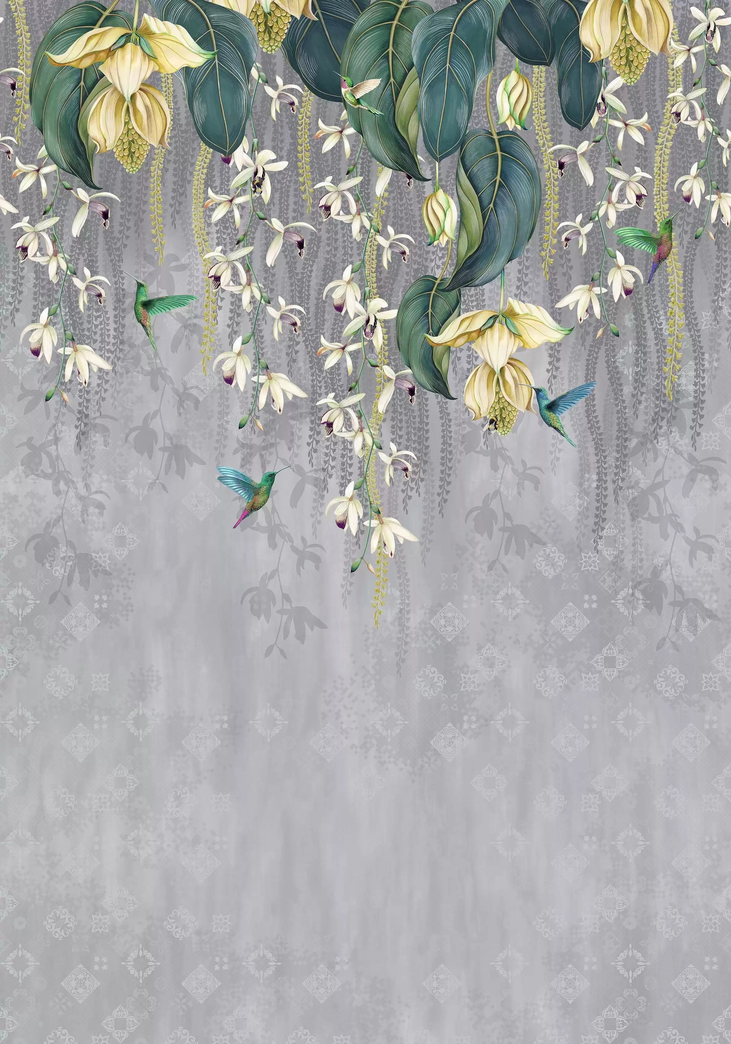 Trailing Orchid (Folium)