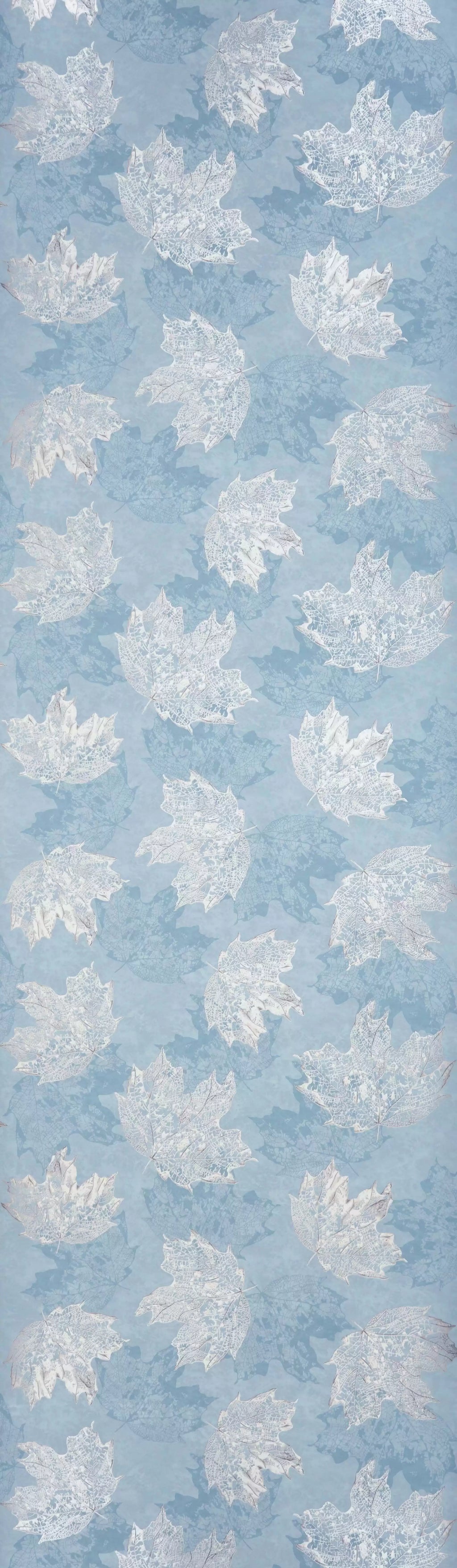 Sycamore (Folium)