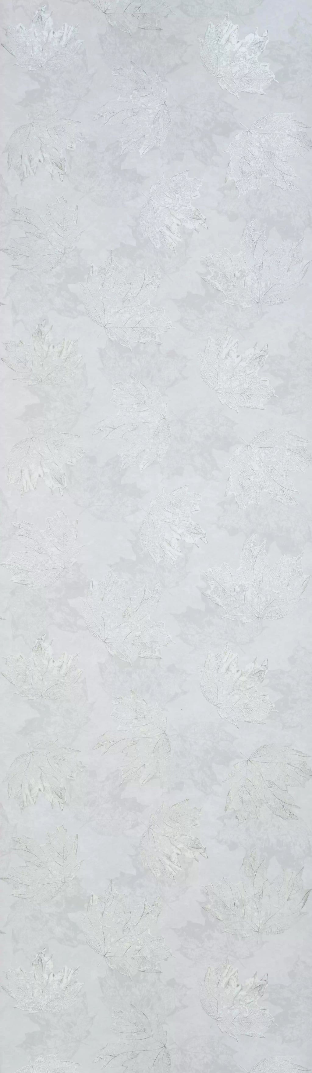 Sycamore (Folium)