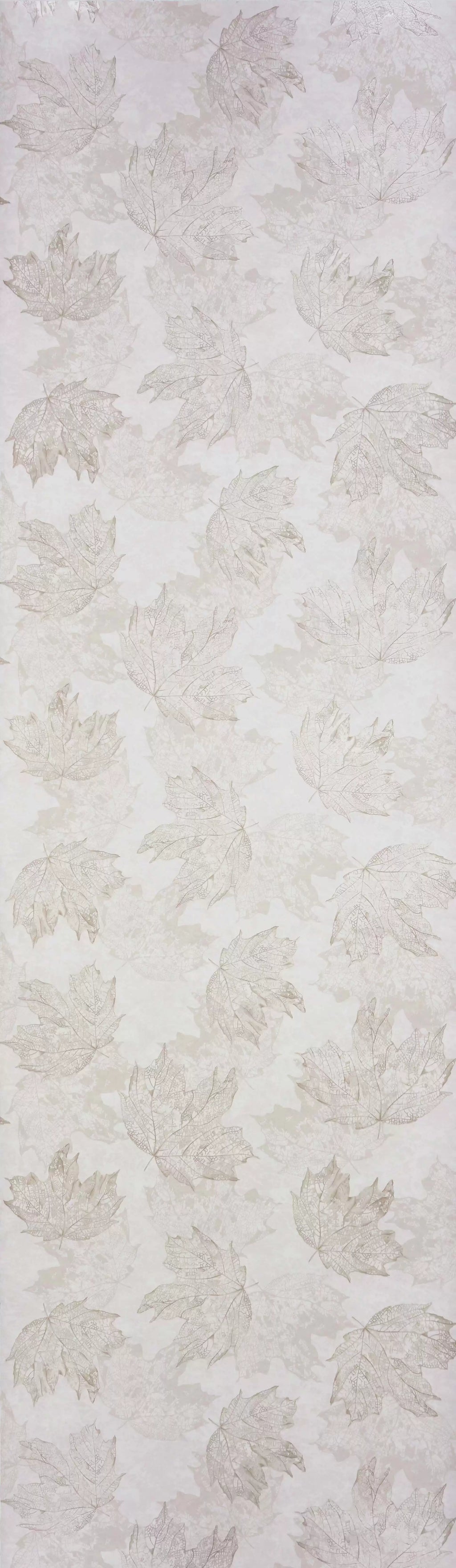 Sycamore (Folium)