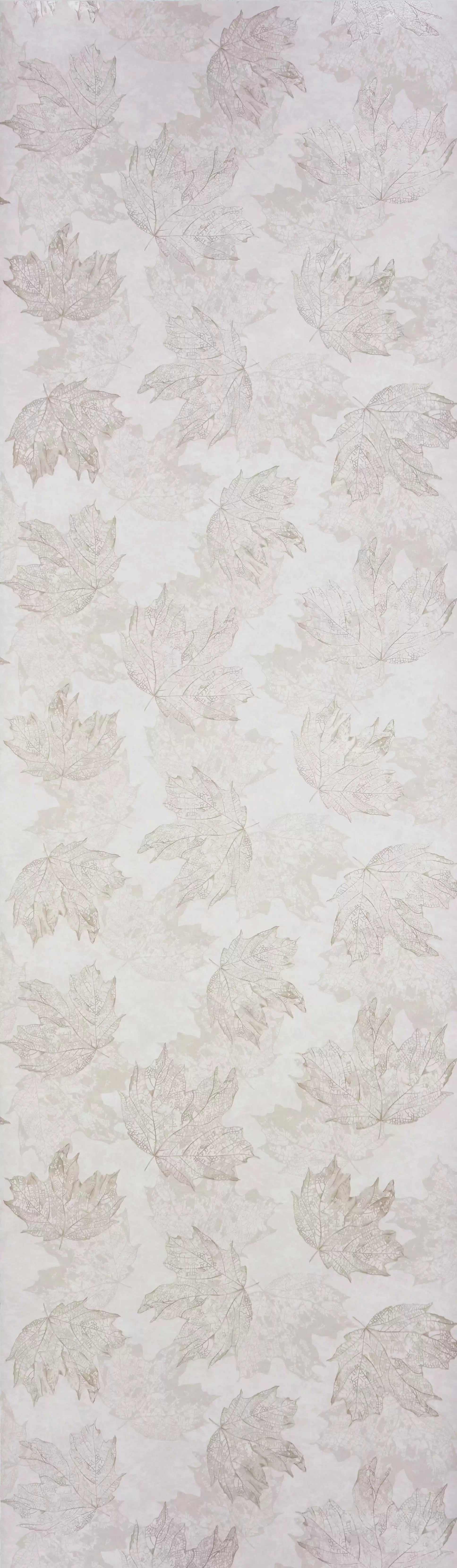 Sycamore (Folium)