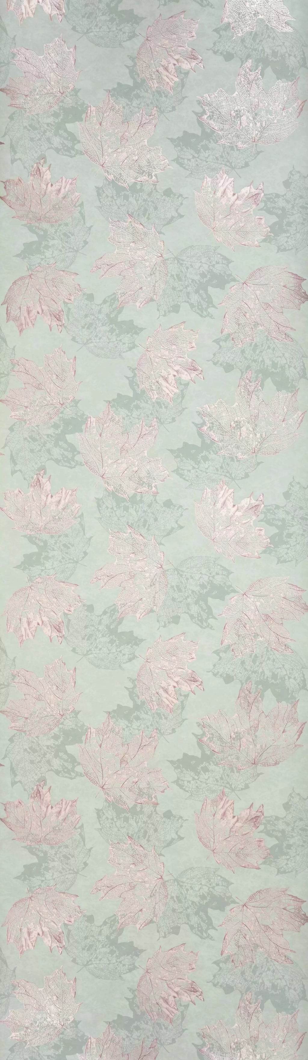 Sycamore (Folium)