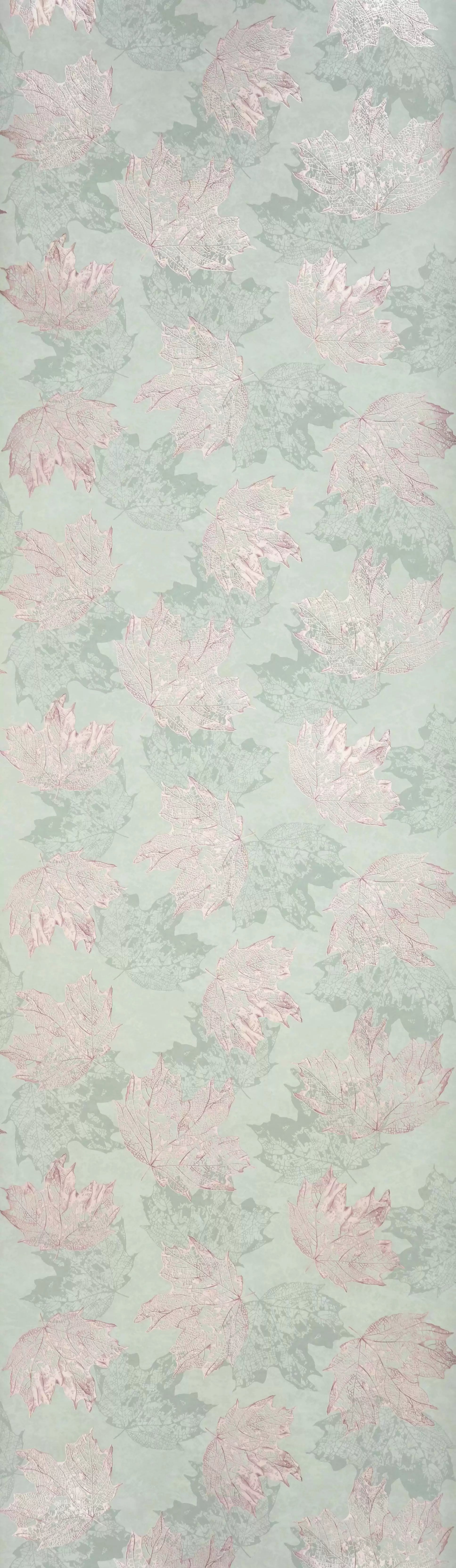 Sycamore (Folium)
