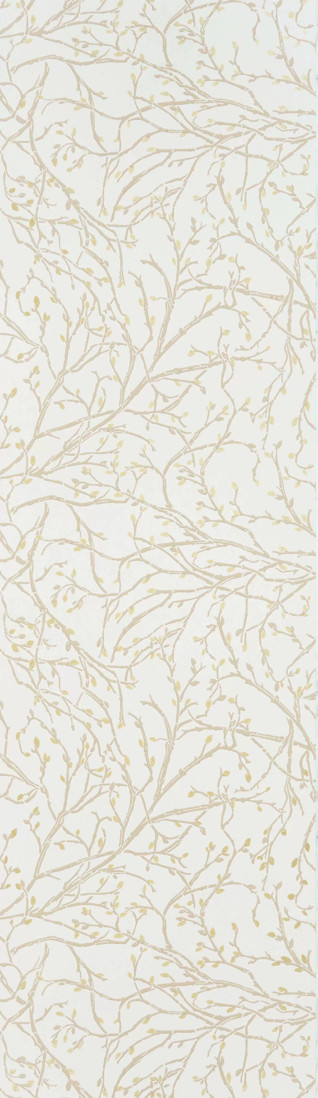 Twiggy (Folium)
