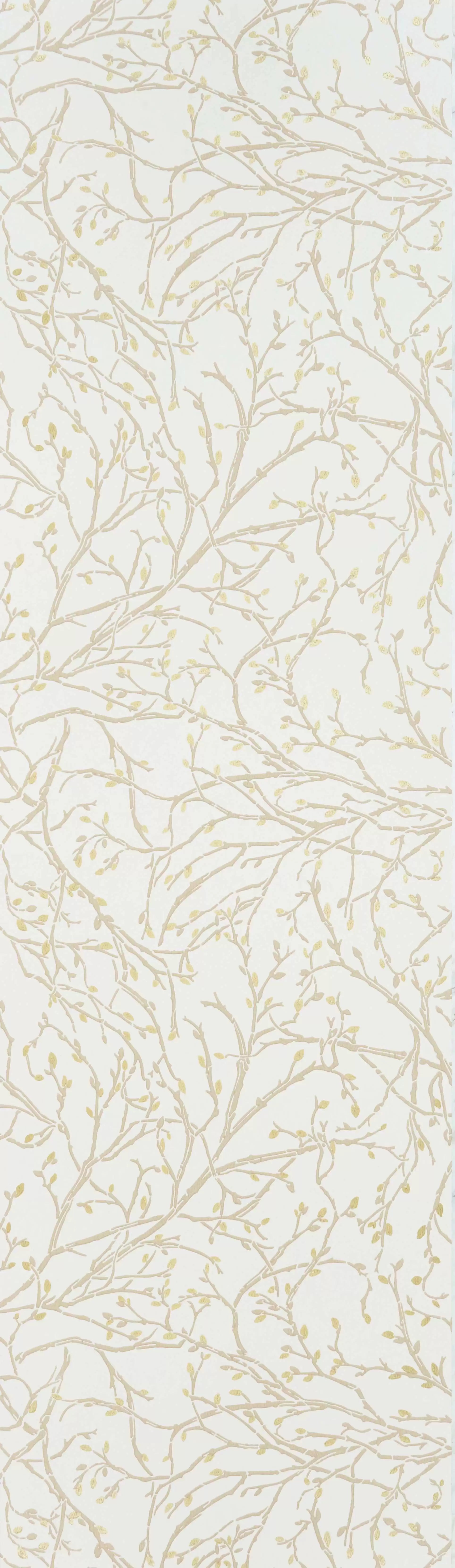 Twiggy (Folium)