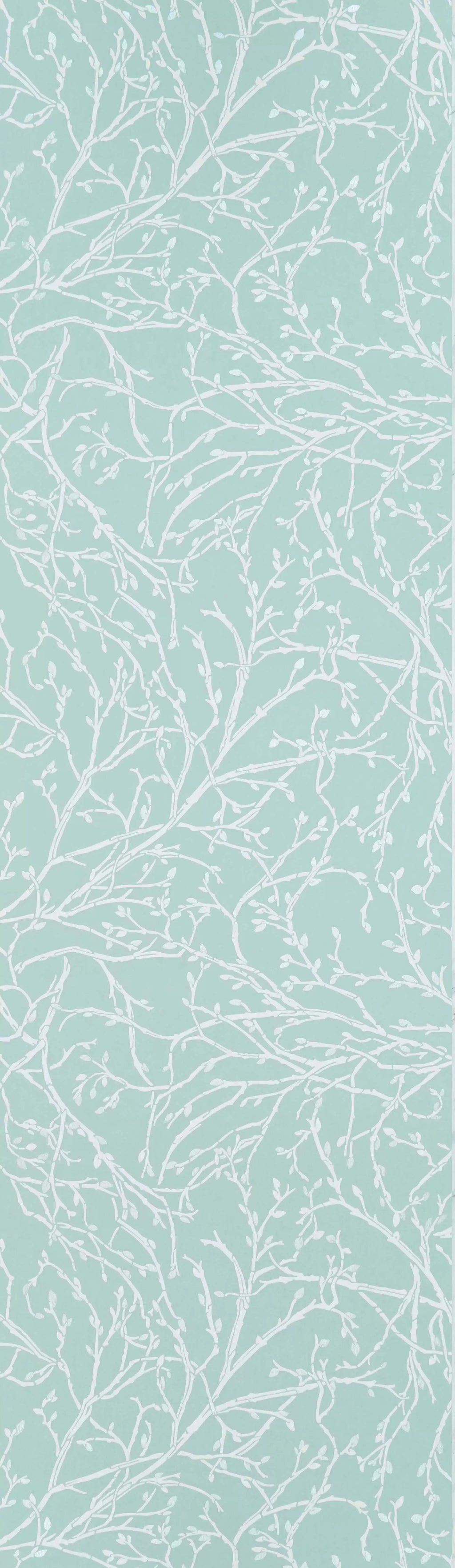 Twiggy (Folium)