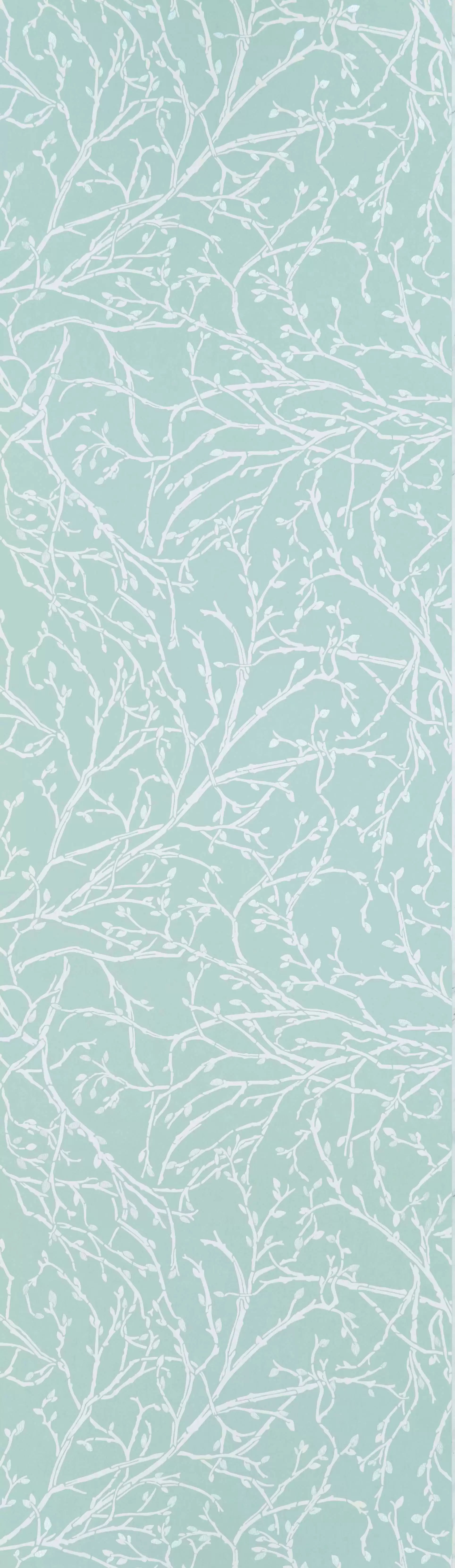 Twiggy (Folium)