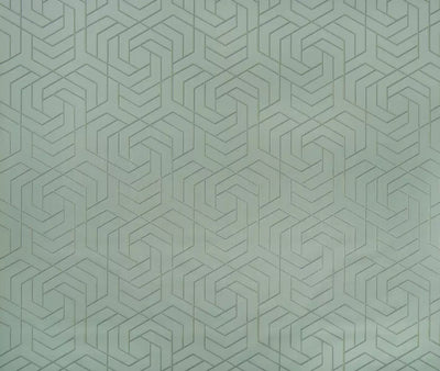 Hexagon Trellis (Metropolis Vinyls 3)