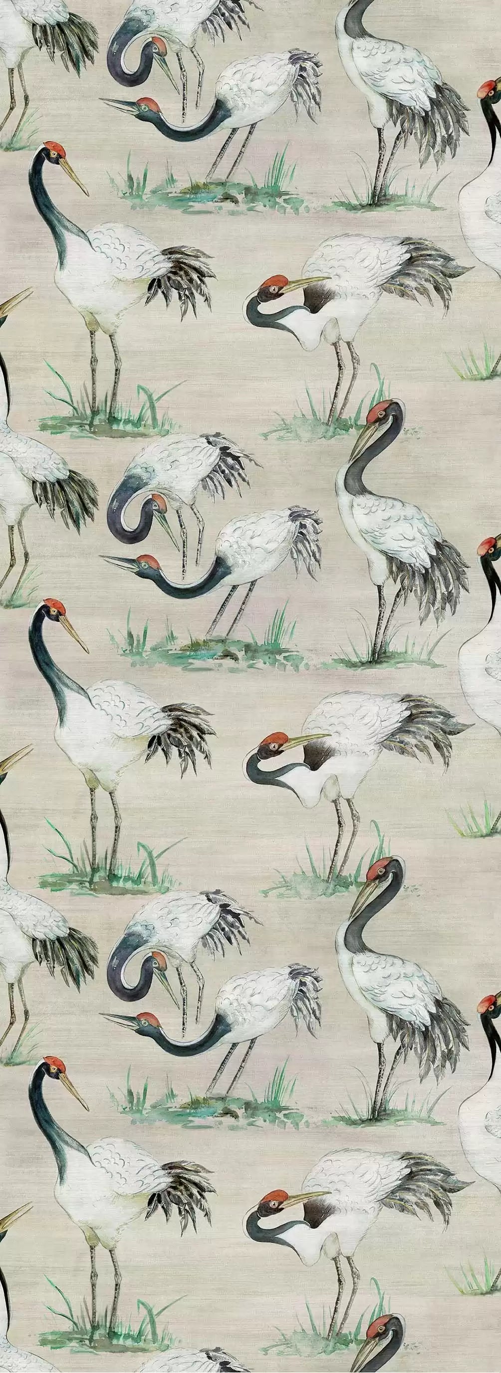 Cranes (Mansfield Park)