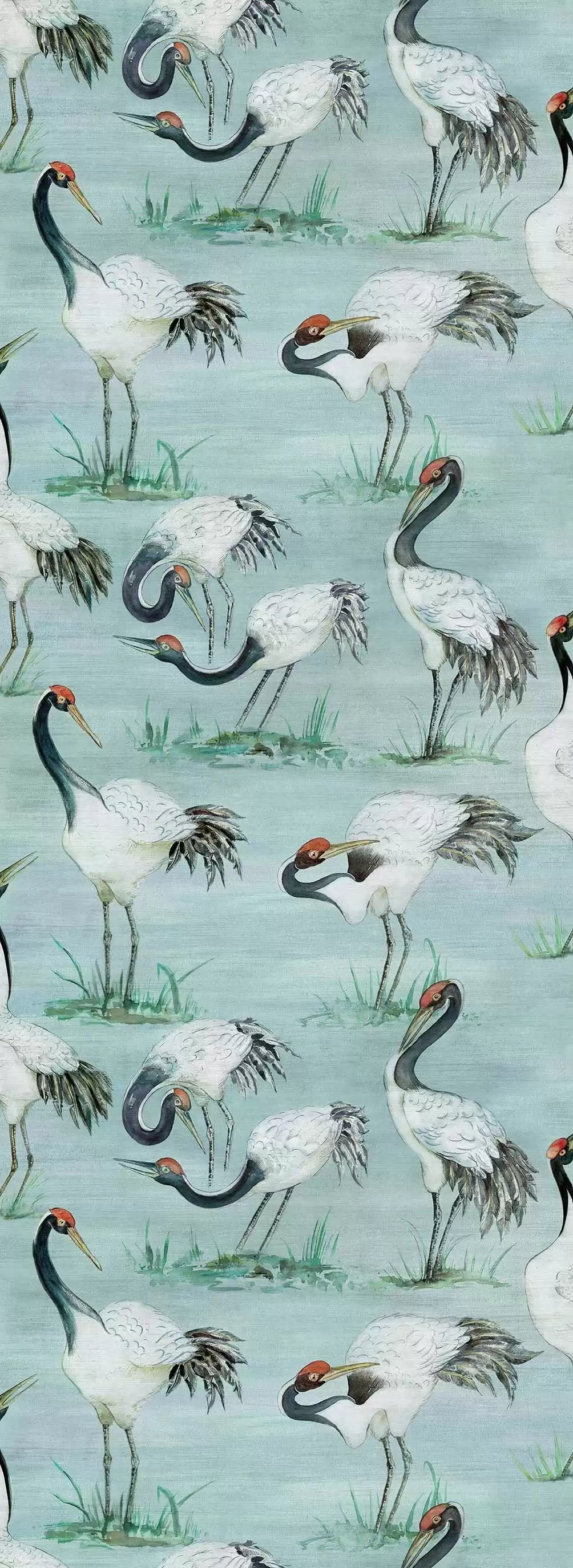 Cranes (Mansfield Park)