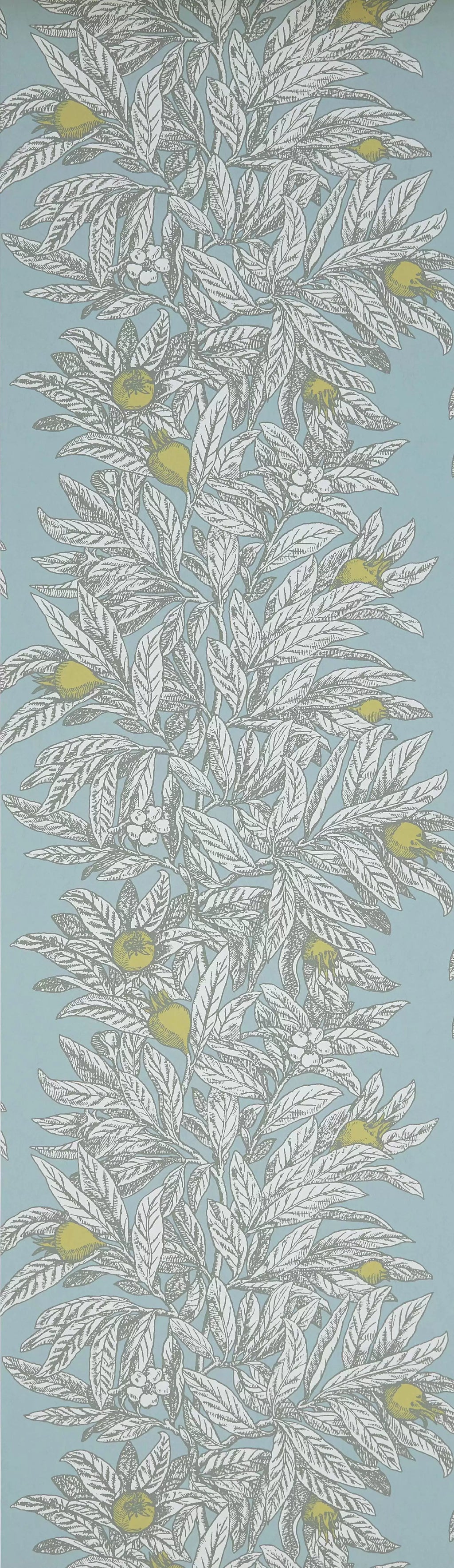 Medlar (Mansfield Park)