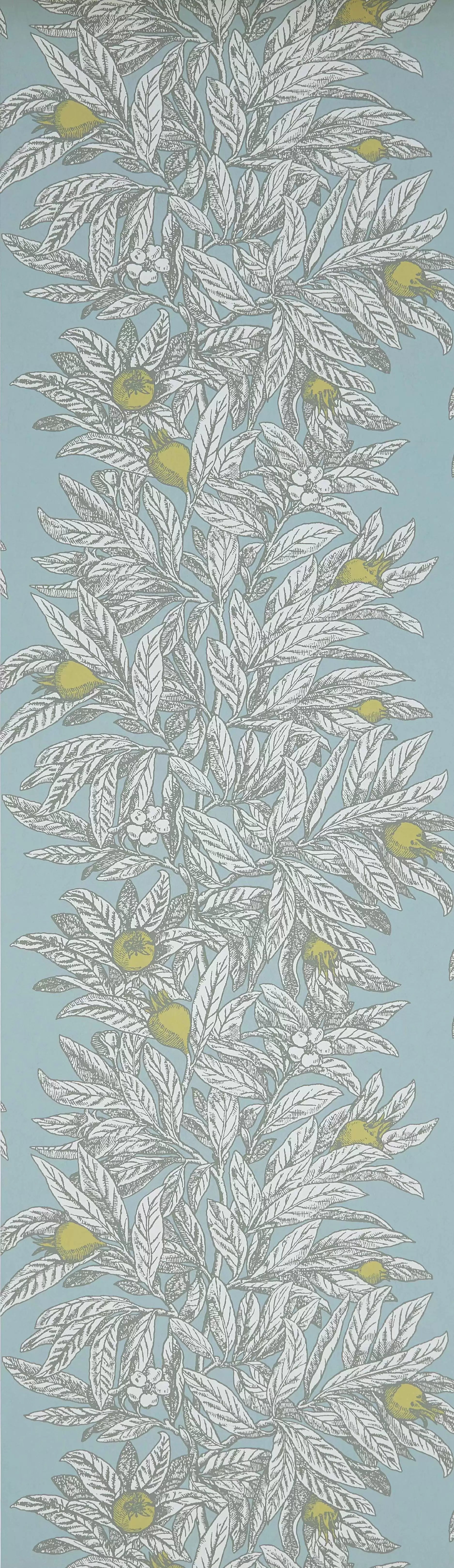 Medlar (Mansfield Park)