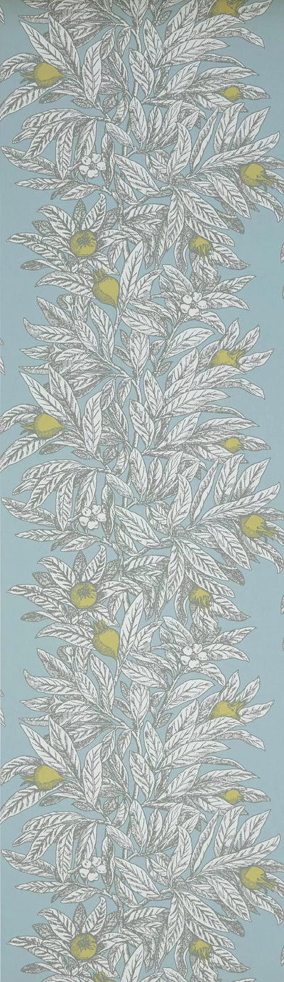 Medlar (Mansfield Park)