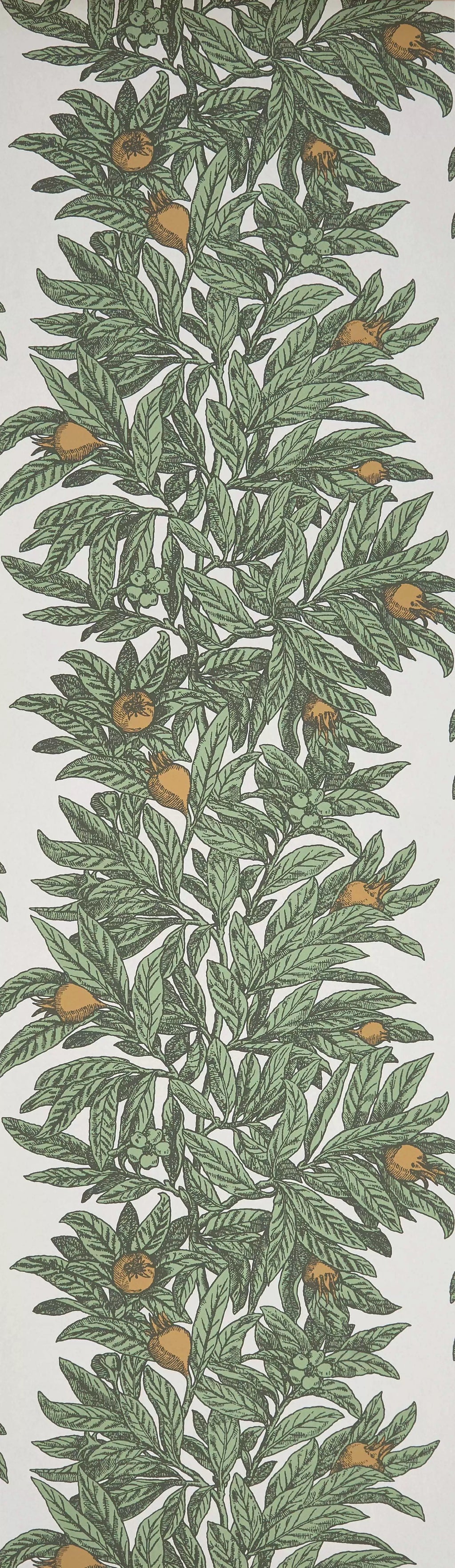 Medlar (Mansfield Park)