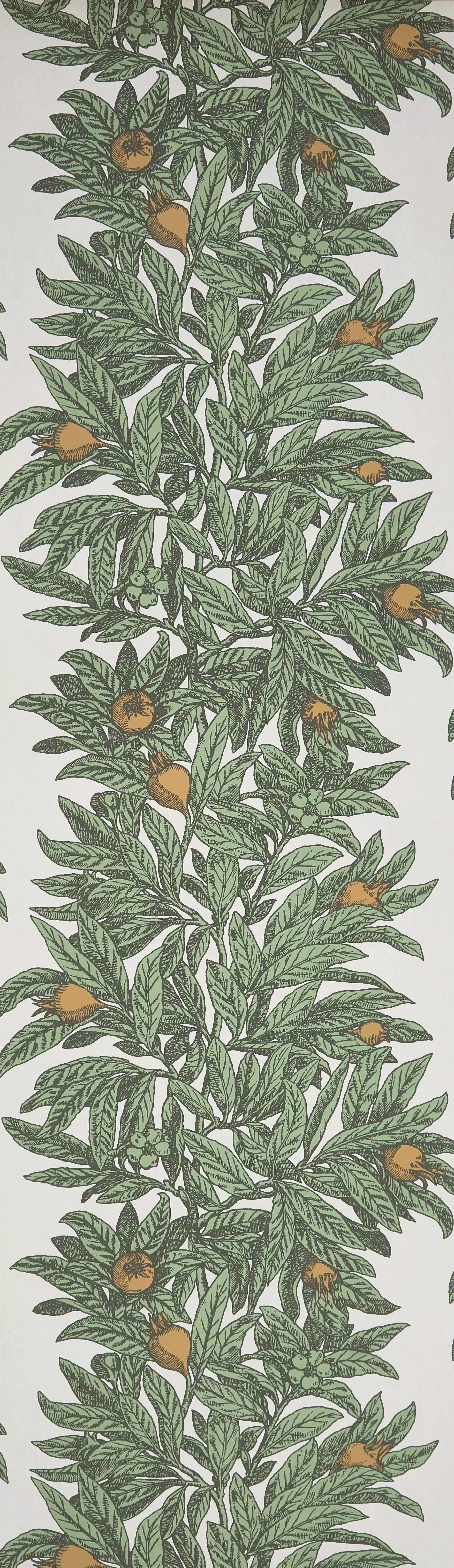 Medlar (Mansfield Park)
