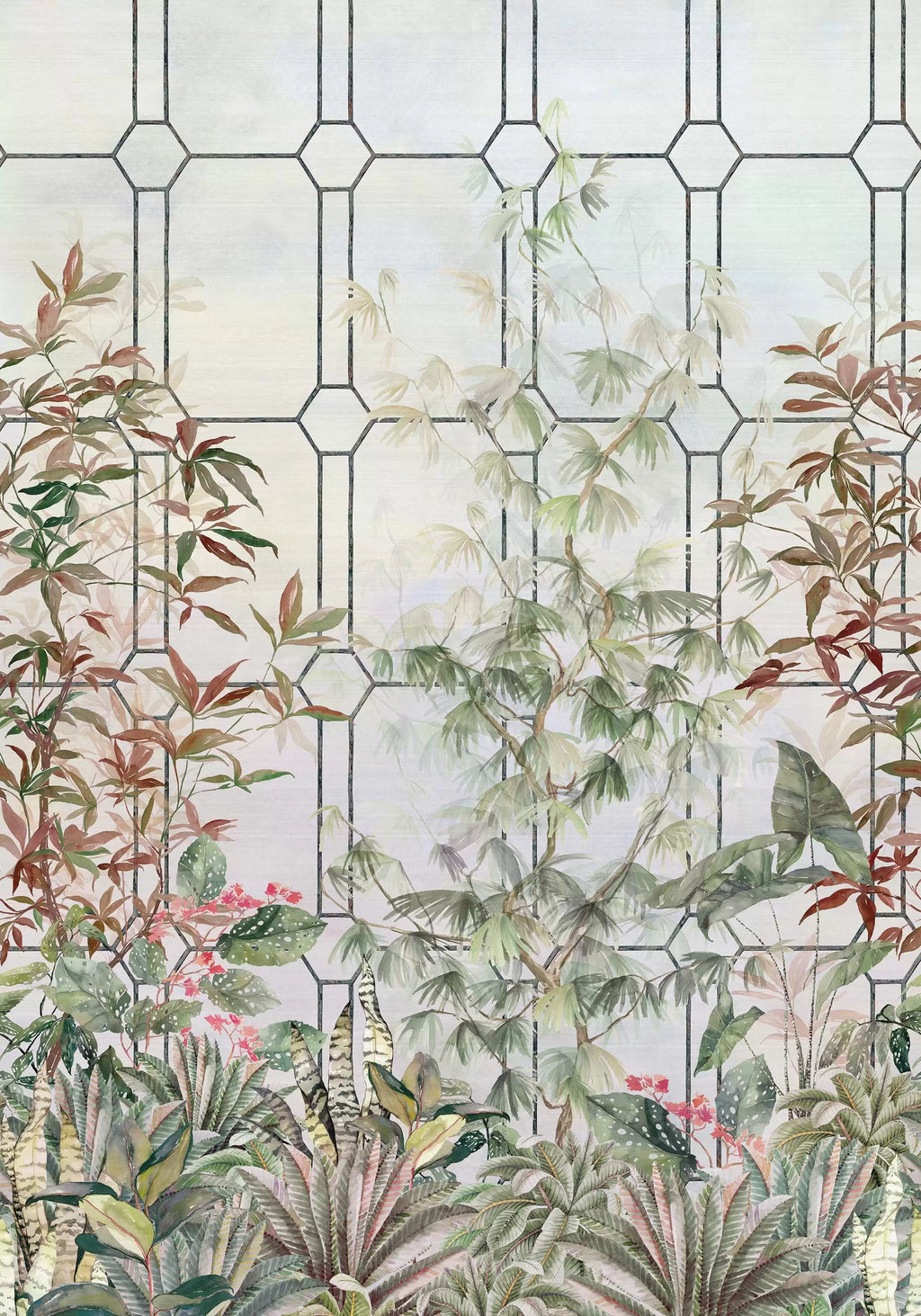Katsura (Empyrea)
