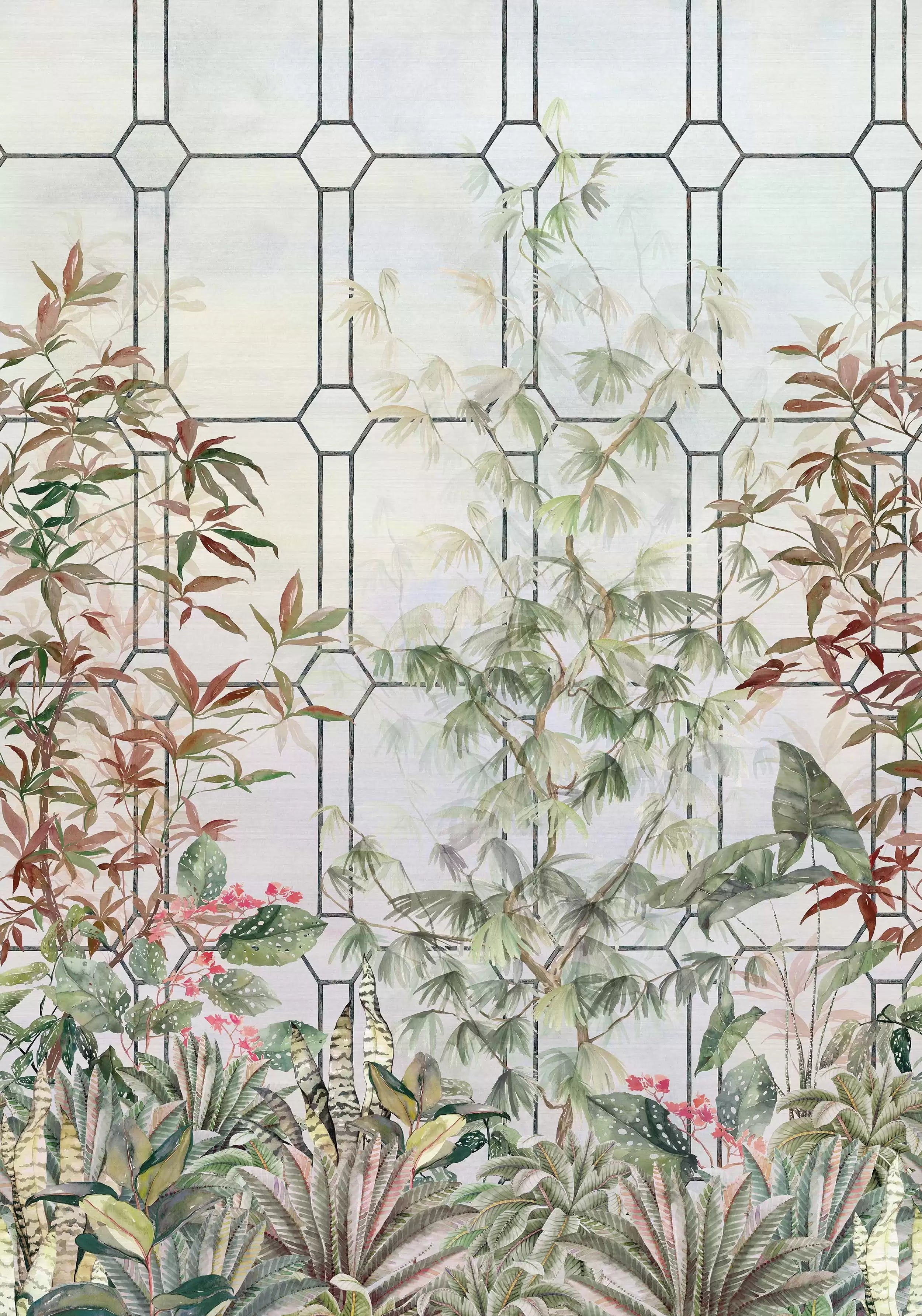 Katsura (Empyrea)