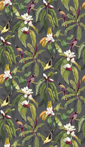 Michelia (Empyrea)