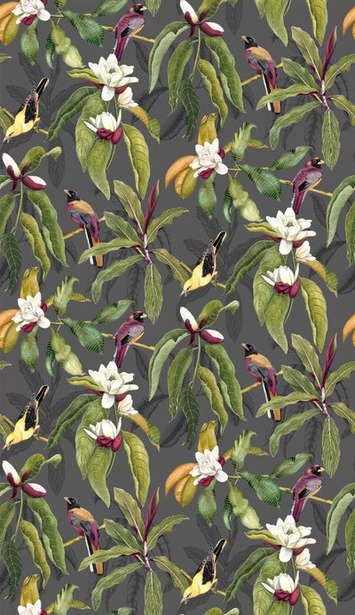 Michelia (Empyrea)