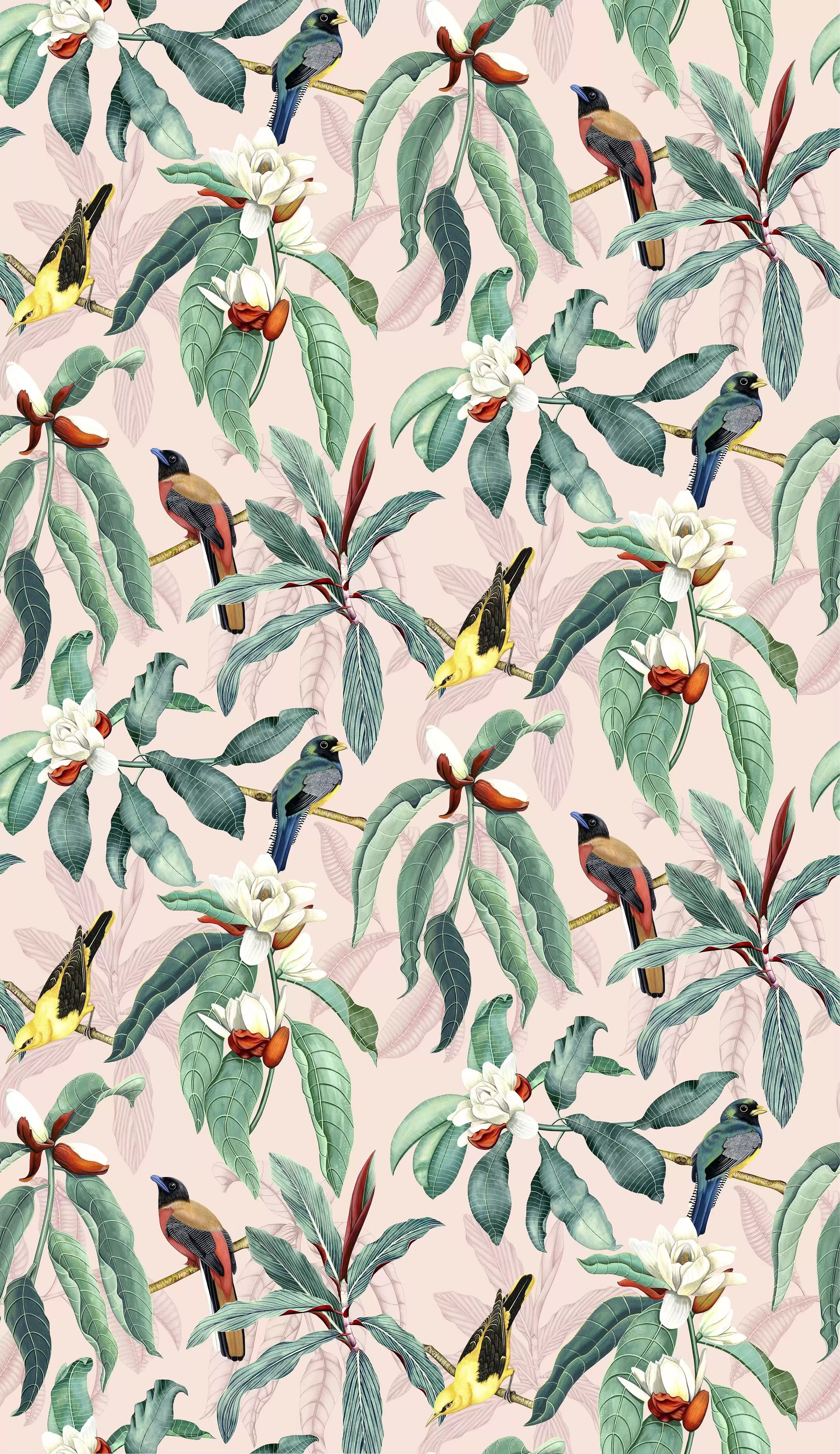 Michelia (Empyrea)