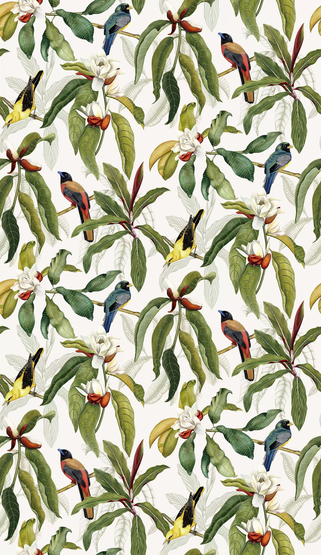 Michelia (Empyrea)