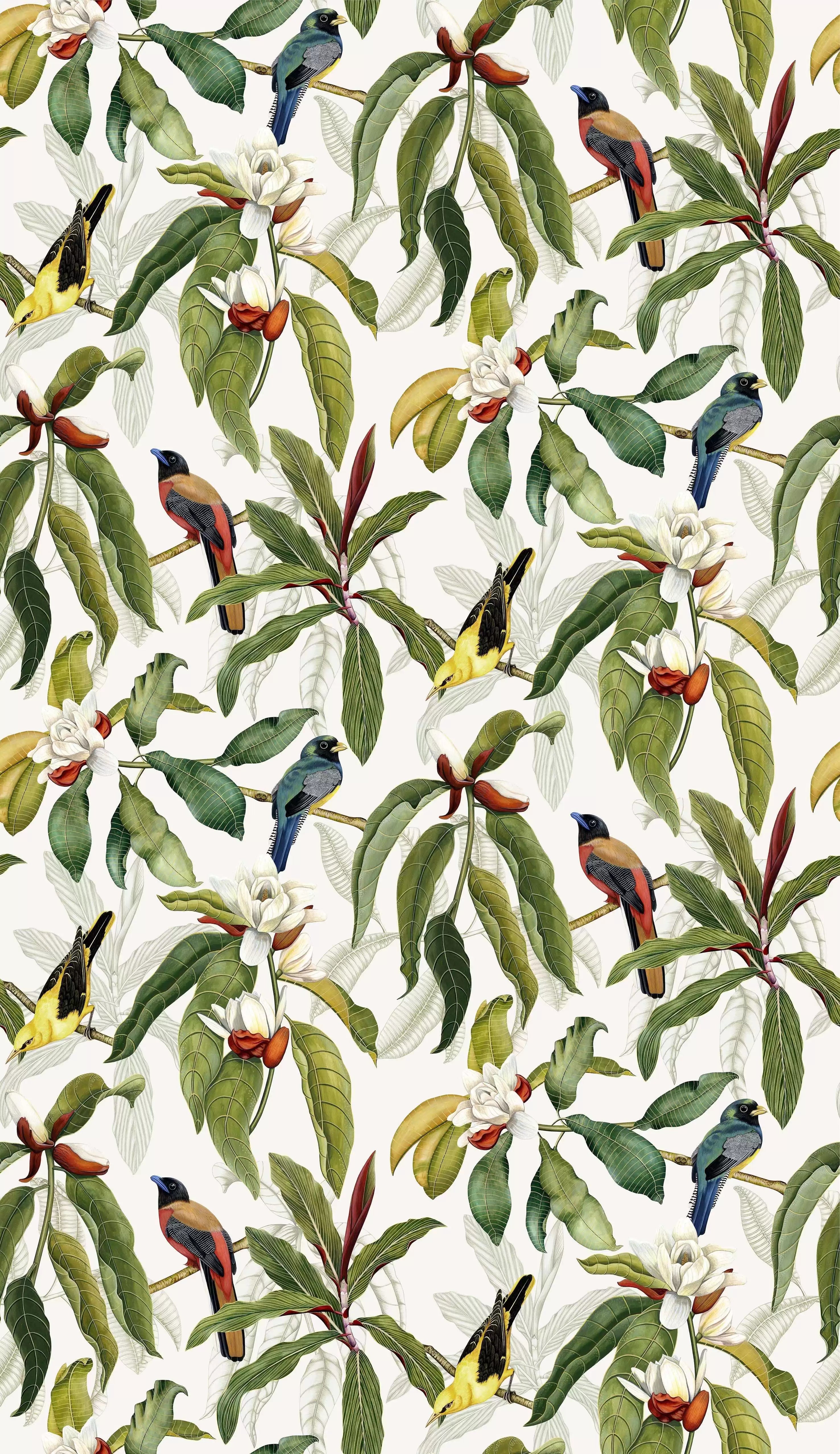 Michelia (Empyrea)