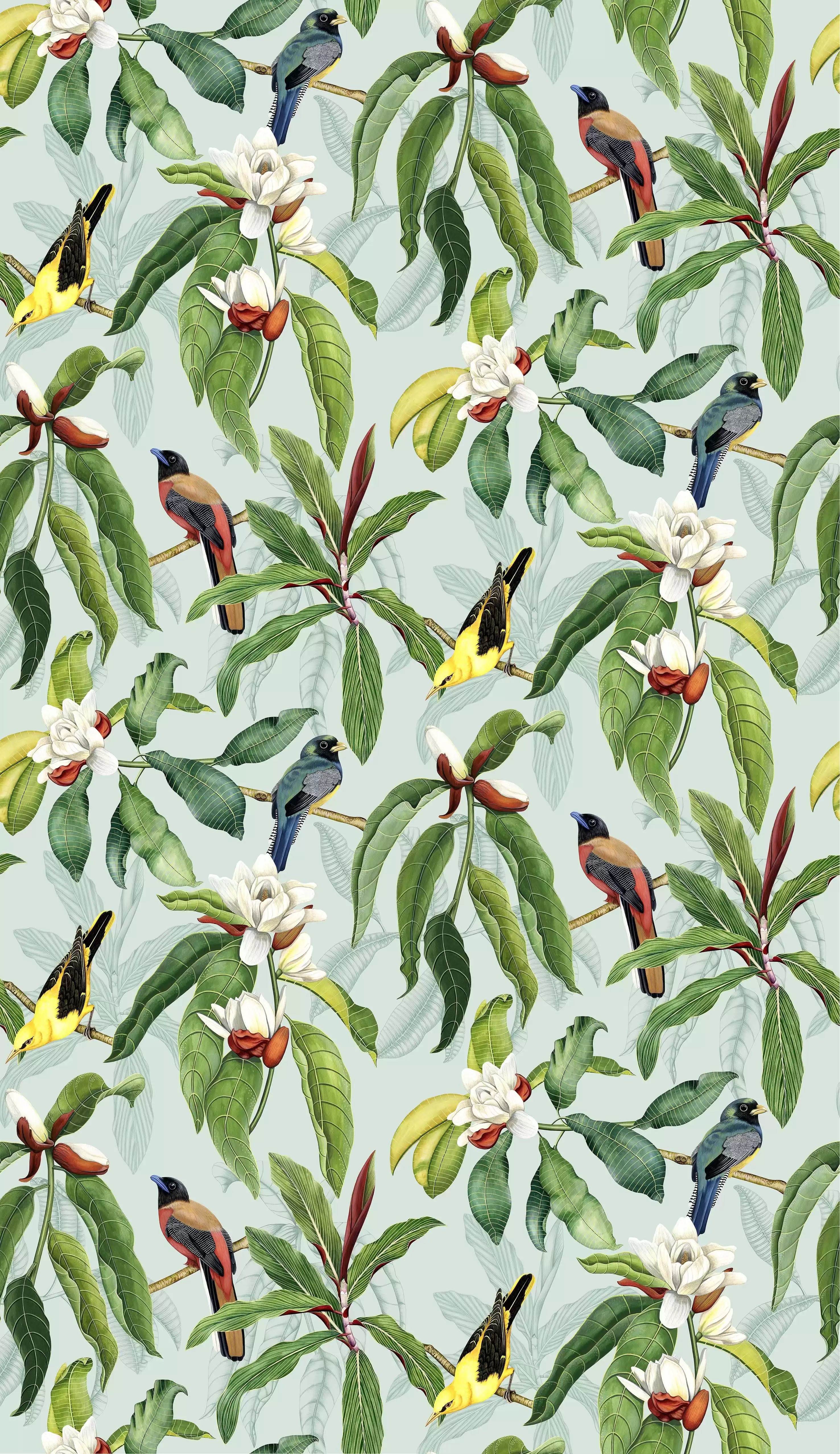 Michelia (Empyrea)