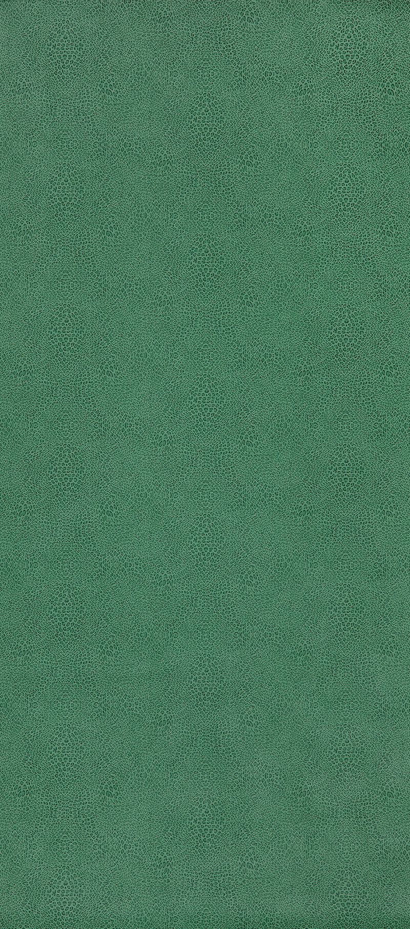 Margay (Paramo Vinyls)