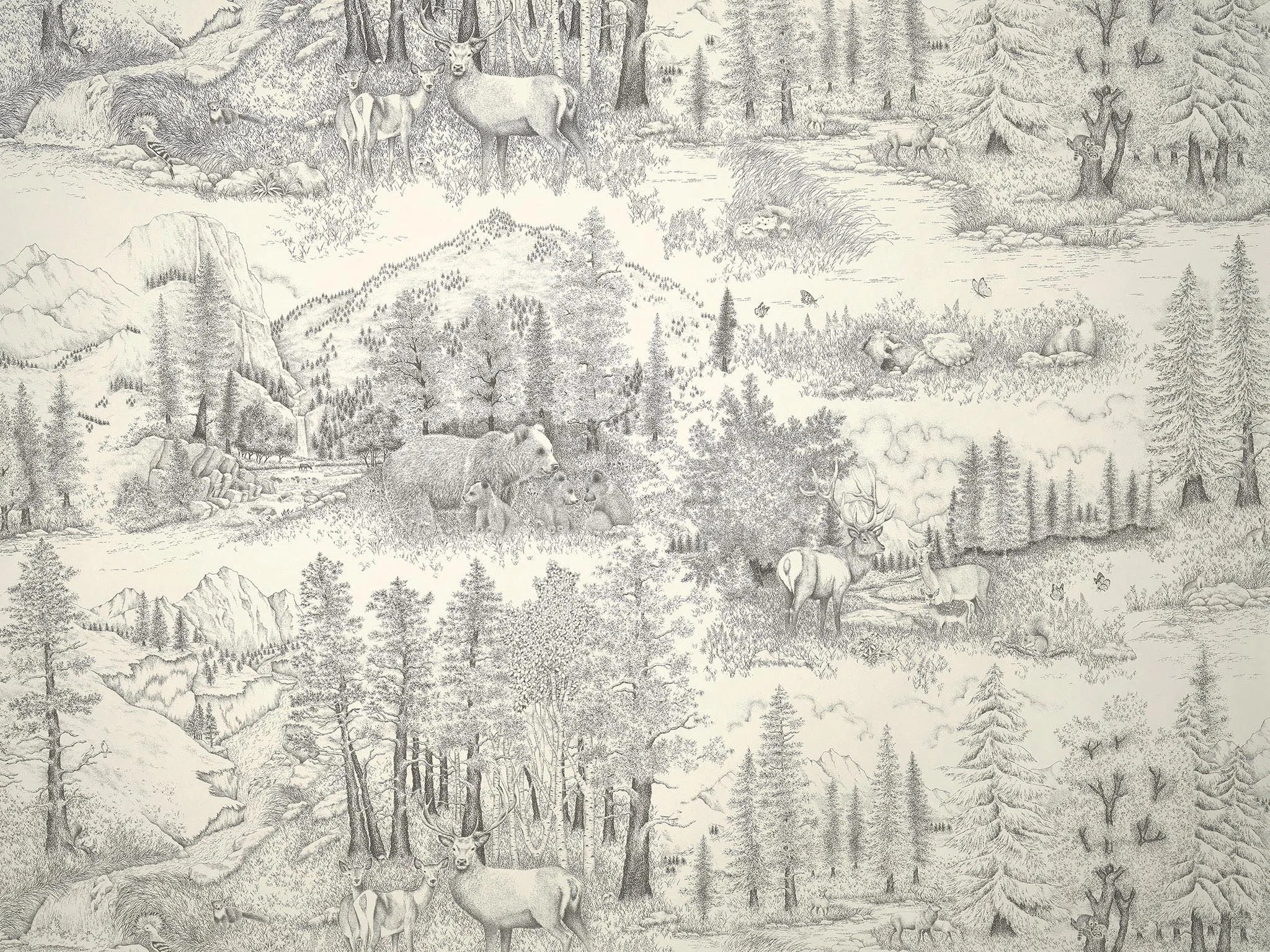 Elixir Banquise - Les Dessins 6