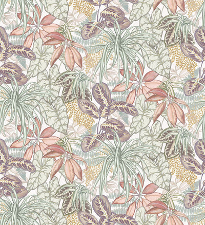 Hothouse (Ananda)