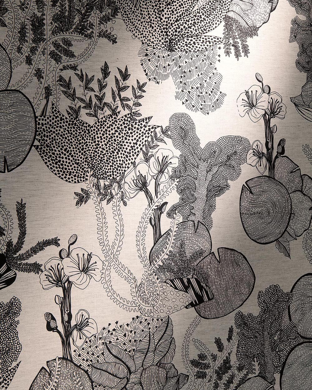 Punta cana Meringue - Les Dessins 7