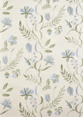 Bloomer Ciel - Lumières Boréales
