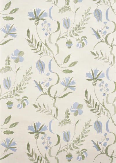 Bloomer Ciel - Lumières Boréales