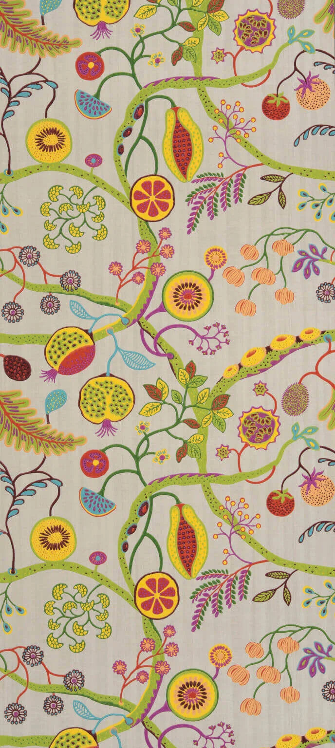 Jardin de paradis Coquille - Les Dessins