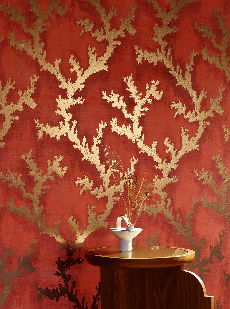 Corail magique Peche - Les Dessins 5