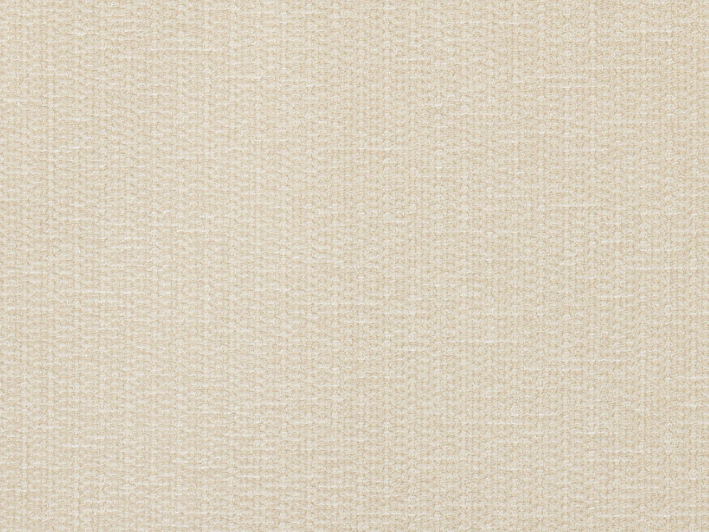 Alba Champagne - Natecru Textures N.1