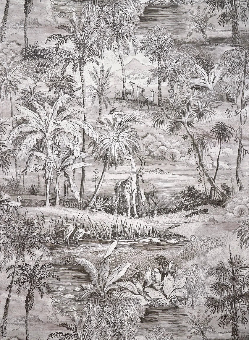 Safari Charbon - Deserts