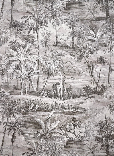 Safari Charbon - Deserts
