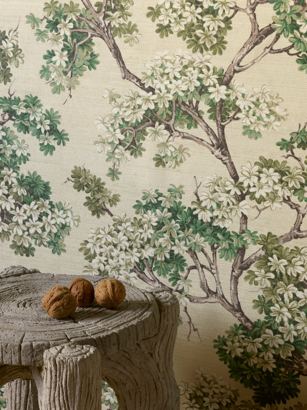 Courtine Vegetal - Jardin À La Française