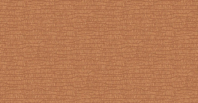 Metta Coral