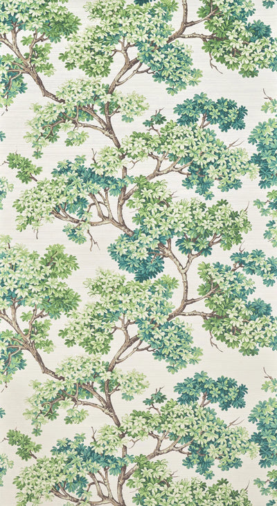 Courtine Vegetal - Jardin À La Française