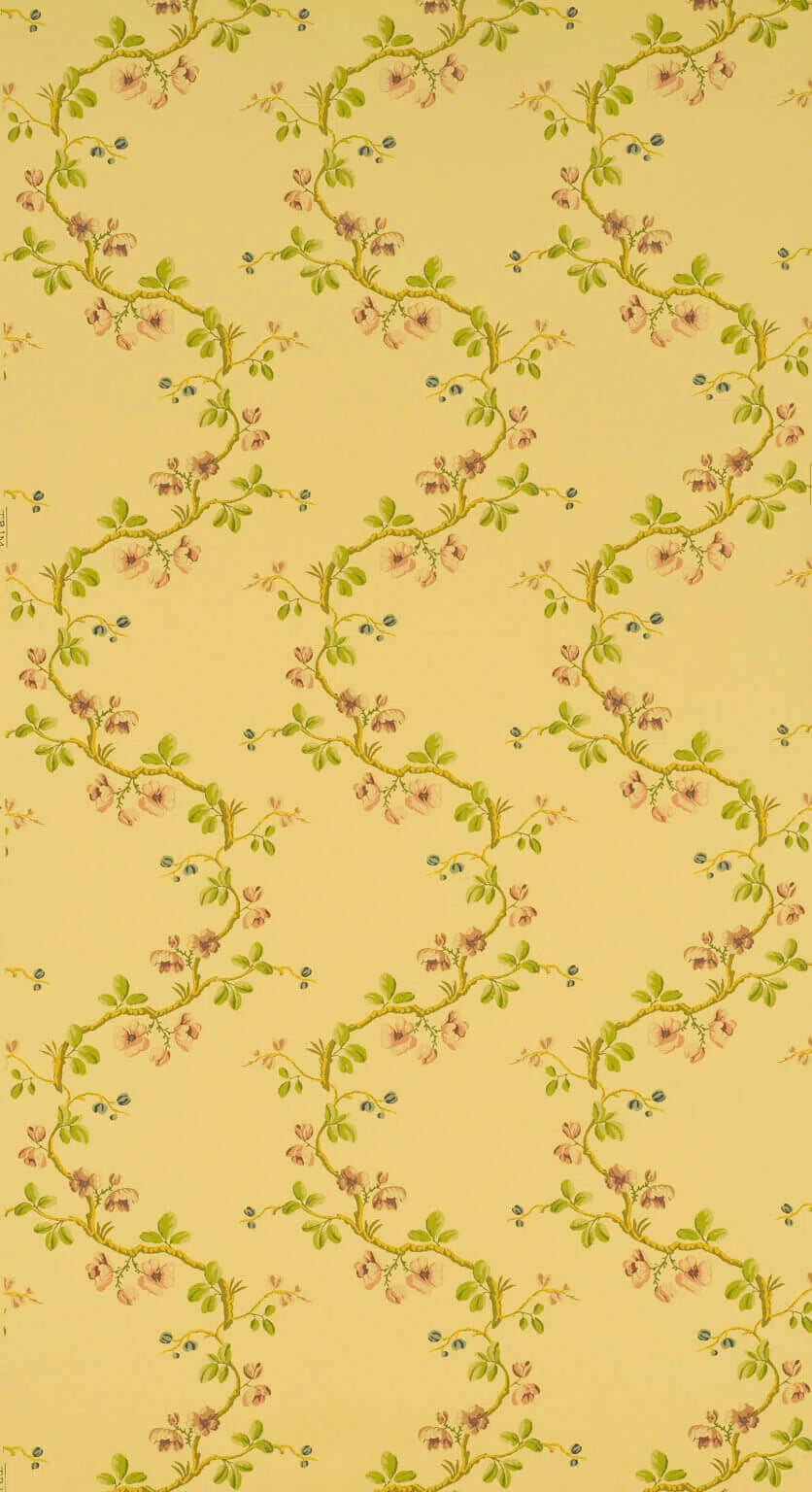 Wallpaper sans papillons Corail - Dessins Signatures