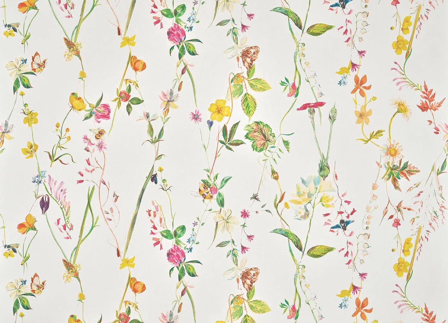 Groseiller FP110001 - - Jardins Secrets