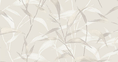 Lillia Oyster