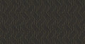 Everly Black