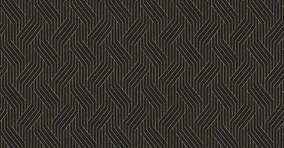 Everly Black